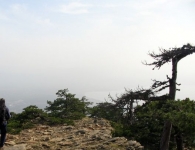 Kaz Dağı