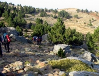 Kaz Dağı