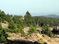 Kaz Dağı