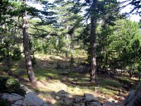 Kaz Dağı