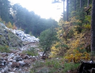 Kaz Dağı
