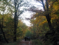 Kaz Dağı