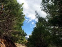 20Ekim2014-024