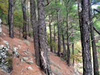 20Ekim2014-032