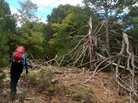 20Ekim2014-047