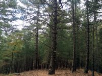 20Ekim2014-058