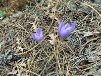 20Ekim2014-069