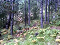 20Ekim2014-084