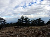 20Ekim2014-086