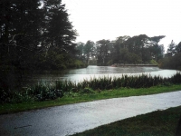 218250GOLDENGATEPARK