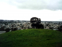 221258OAKLAND