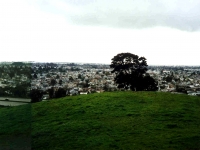 221259OAKLAND1