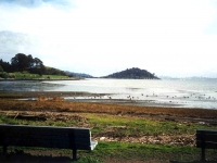221265TIBURON