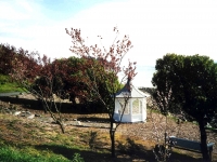 221266TIBURON