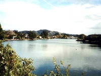 221269TIBURON