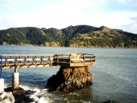 221279FILKAYASI_ANGELISLAND