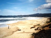 223287HALFMOONBAY