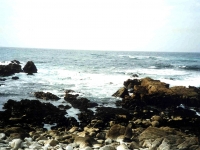 223292SEVENTEENMILEDRIVE