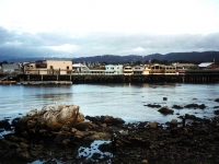z223307MONTEREYOLDFISHERMAN_