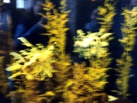 224314MONTEREYBAYAQUARIUM