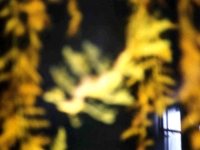 224315MONTEREYBAYAQUARIUM