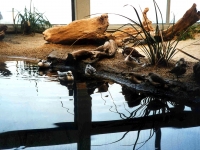 224328MONTEREYBAYAQUARIUM