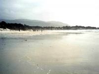224345CARMEL
