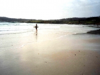 224346CARMEL