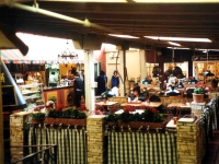 224349CARMEL