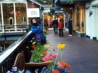 224353CARMEL