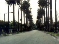 225361LABEVERLYHILLS
