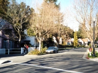 227418OAKLAND