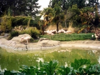 302448OAKLANDZOO