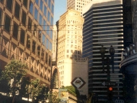 306456SF