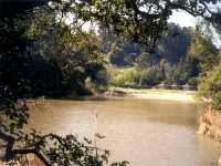 307466TILDENLAKEANZE