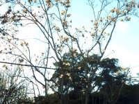 216187BERKELEY