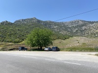 IMG_2567
