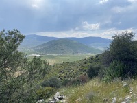 IMG_2585
