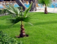 Kemer MagicLife