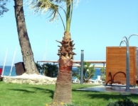 Kemer MagicLife
