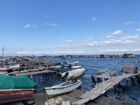 IMG_0698