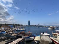 IMG_0700