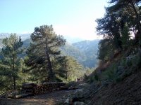 Nif Dağı