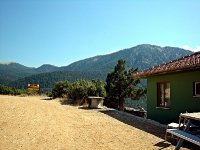 DSC09596