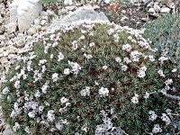 DSC09656