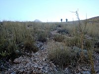 DSC09665