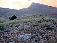 DSC09667