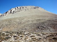 DSC09677