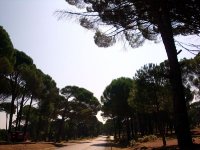 Bergama-Kozak Yaylası