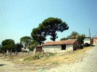 Bergama-Bağdüzü Köyü